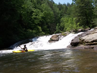 FF on the Upper Green