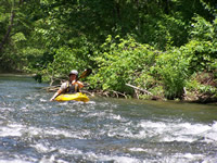 FF on the Upper Green