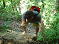 Bob is the first to climb down