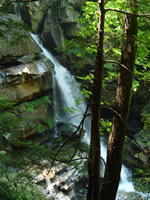 Big Bradley from the trail