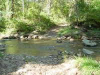 cove creek