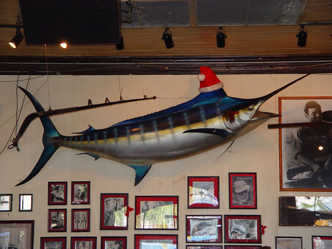 Hemingway's blue marlin in Sloppy Joes, Key West