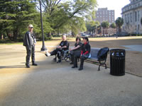 A warm day in the park