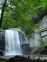 Looking Glass Falls in Pisgah Forest