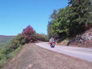 Motorcycle on Blue Ridge Parkway in the fall