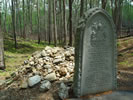 Kings Mountain Grave