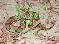 Snakebite Story